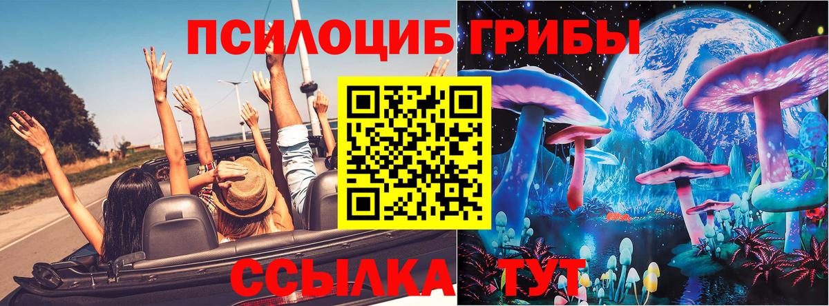Псилоцибиновые грибы Psilocybe  Вход с VPN  Саров 