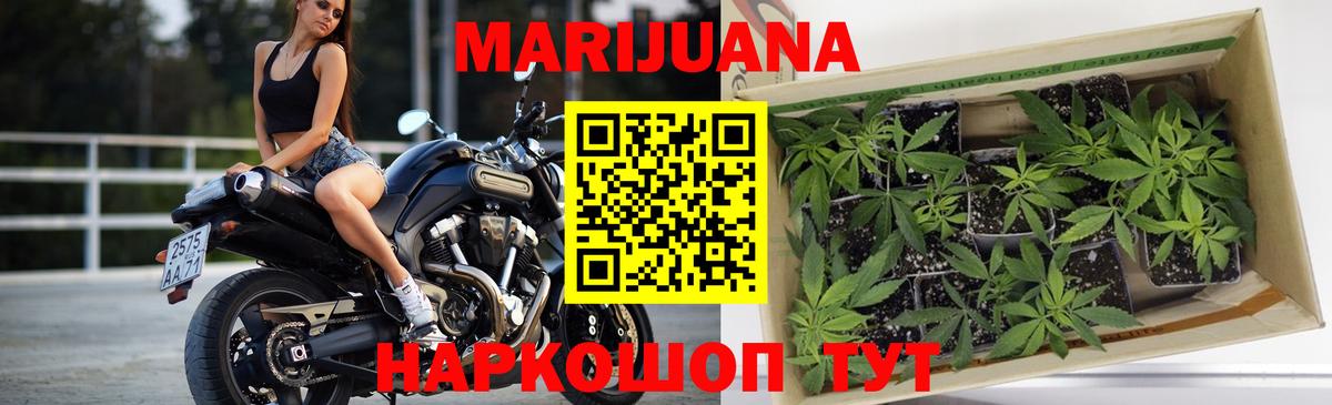 Бошки Шишки индика  Бошки Шишки индика  Вход с VPN  Бошки Шишки THC 21%  Саров 